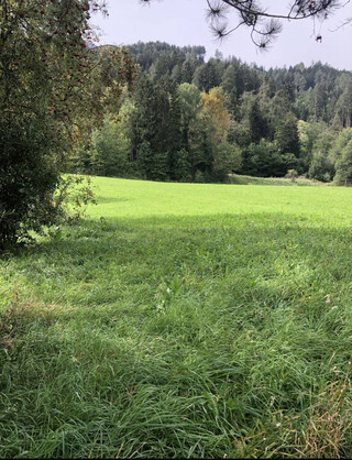 Schöner Baugrund in Inzing 