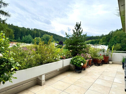 Wunderschöne, sonnige, ruhige 3-4 Zimmer Terrassenwohnung in Aldrans