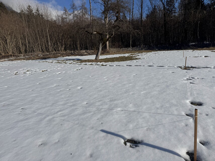 Traum Grundstück ruhig, sonnig, Waldrand, keine Maklerprovision
