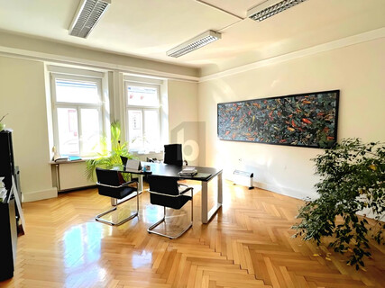 ALTBAU-WOHNUNG/BÜROFLÄCHE IM ZENTRUM, FLEXIBEL NUTZBAR + PARKPLATZ