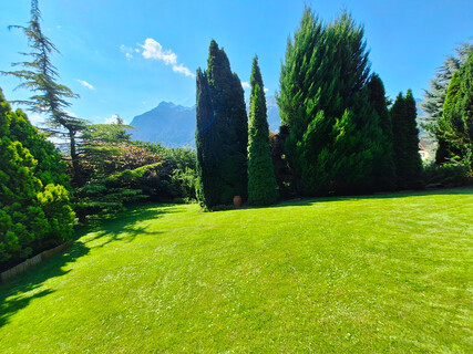 Ein Traum von einem BAUGRUND