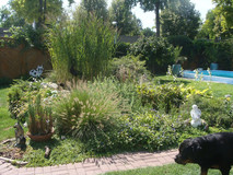 WIEN: Gepflegtes EFH mit Terrasse & Pool auf 368m² Eigengrund! "Urlaubsfeeling mitten in Wien"