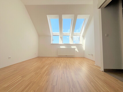 Stilvolle Dachgeschosswohnung mit Flair
