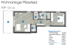 Zweizimmerwohnung Top 1.3 in Fügen - WA Pfisterfeld