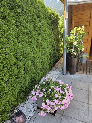 Schrebergarten + Parkplatz gegen Ablöse 