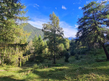 Eingezäuntes Freilandgrundstück Nähe Seefeld