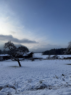 Traum Grundstück ruhig, sonnig, Waldrand, keine Maklerprovision