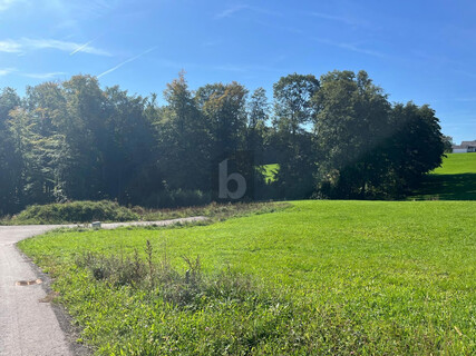 SELTENE GELEGENHEIT: BAUGRUND OHNE BAUZWANG ? UNVERBAUBARE AUSSICHT, SONNIGER SÜDHANG & TOP-WERTANLAGE