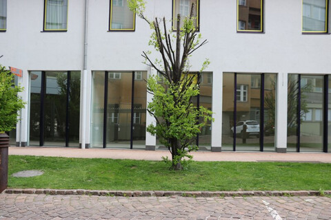 Geräumige, barrierefreie Büroflächen 171qm im EG - beim Landhausplatz