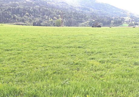 Langfristige Wertanlage für Ihren Betrieb – 1,4 ha in Oberhofen