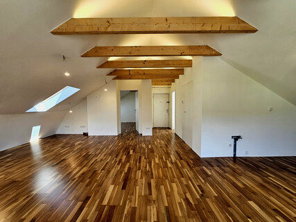 geräumige 2-Zimmer Dachgeschoßwohnung / saniert