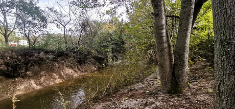 IDYLLISCHE LAGE MIT ZUGANG ZU BACHLAUF