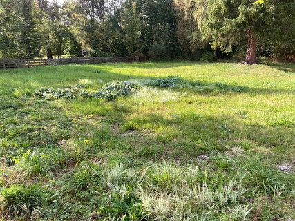 Baugrundstück für Traumhaus
