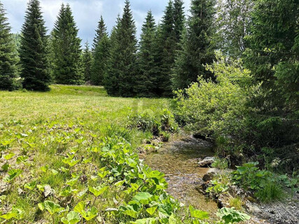 FERN VON DER HEKTIK  AUF DER FLATTNITZ