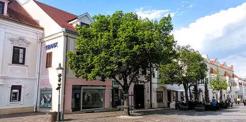 ELEGANTES GESCHÄFTSLOKAL - SOFORTÜBERNAHME - FREQUENZLAGE