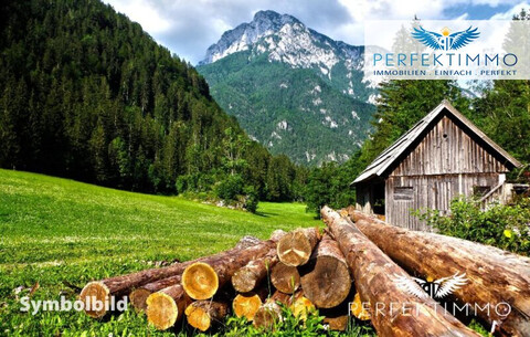 Wald- und Wiesengrundstücke in Arzl im Pitztal