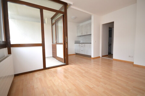 Helles Büro in Ruhelage von Saggen