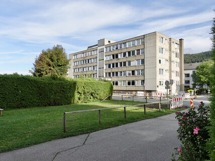 Kleingarconnière 