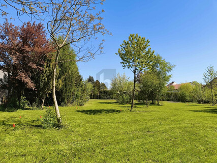 RARITÄT IN ASCHBACH 1.264 M² GESAMTFLÄCHE, VOLL AUFGESCHLOSSEN OHNE BAUZWANG!