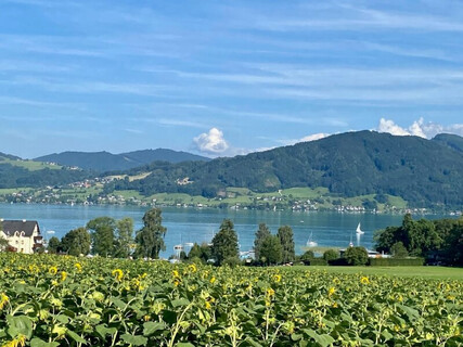 Baugrund in herrlicher Aussichtslage am Attersee mit Projektierung