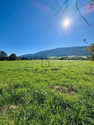 IHR PLATZ IM LUNGAU ? GRUNDSTÜCK MIT VIELSEITIGEM POTENZIAL IN UNTERNBERG