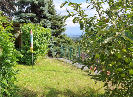BAUGRUNDSTÜCK IN STEYREGG ? RUHIGE HANGLAGE MIT ENTWICKLUNGSPOTENZIAL