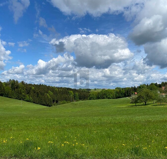 LEICHTE HANGLAGE MIT TRAUMAUSSICHT IN DIE NATUR