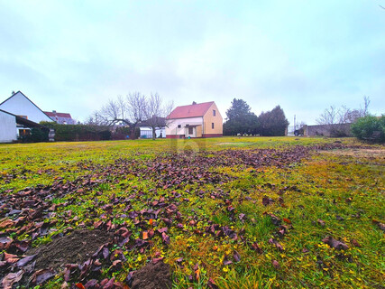NATUR, FREIHEIT & PANORAMABLICK AUF DEN SCHNEEBERG