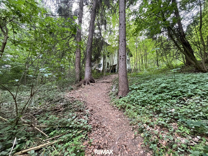 Waldgrundstück mit Altbestand in Amras