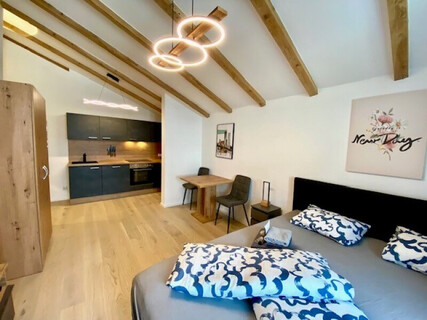 Top Anlage! Wunderschöne Garconniere mit Küche in kernsaniertem Stadthaus