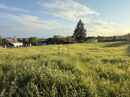 PANORAMABLICK IN TOP RUHELAGE MT SÜD-WEST AUSRICHTUNG