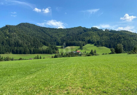 BAUGRUND MIT BESTEN VORAUSSETZUNGEN ? EBEN, SONNIG & VOLL AUFGESCHLOSSEN