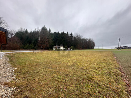 BAUGRUND MIT WEITBLICK ? NATURNAH WOHNEN NAHE SALZBURG