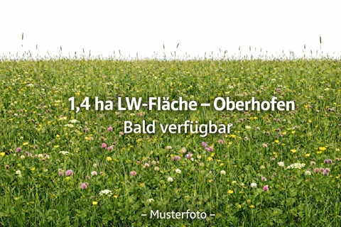 1,4 ha landwirtschaftliche Fläche in Oberhofen