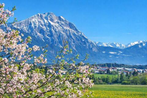 Baugrundstück am Mieminger Sonnenplateau – sonnig, ruhig, ca. 425 m²