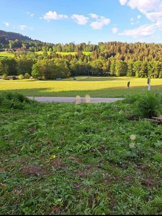 SCHNÄPPCHEN - IDEAL FÜR JUNGE FAMILIEN