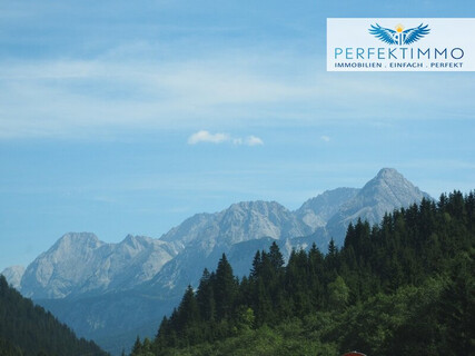 Großer Baugrund in Naturnähe