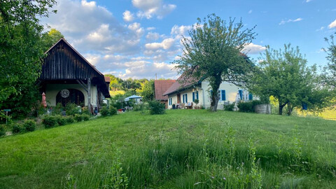 Rarität in der Südsteiermark