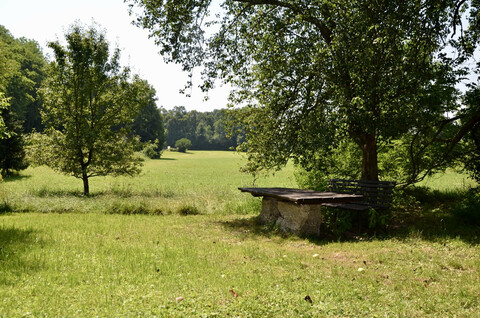 Projektgrundstück mit über 4.000 m2: Natur, Freizeit & Neubauoptionen