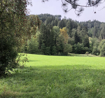 Schöner voll erschlossener Baugrund in Inzing, beste Lage