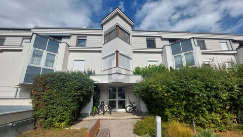 LICHTDURCHFLUTET IM HERZEN DER WACHAU