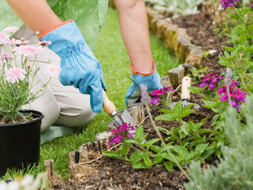 Der Frühling ist die perfekte Zeit, um deinen Garten wieder zum Leben zu erwecken und ihn für die kommende Saison fit zu machen.