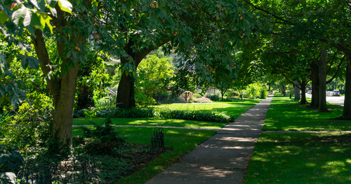 Von wegen Schattendasein