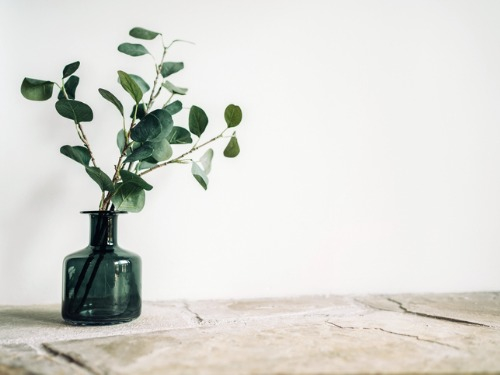 Im Frühjahr erwacht die Natur  und mit ihr eine Vielfalt an Blumen. Mit besonderen Vasen können diese perfekt in Szene gesetzt werden.