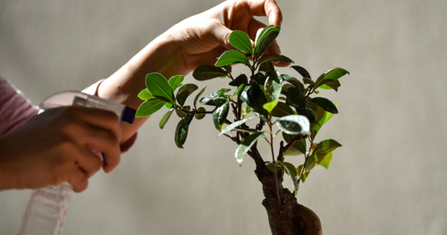 Mit Schnitt und Draht in die richtige Form gebracht