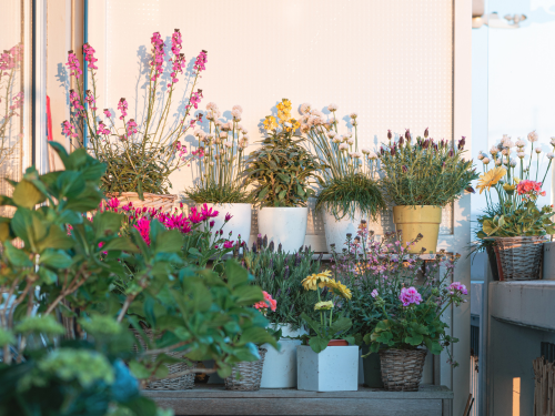 Gut vorbereitet überstehen Blumen und Gemüse kürzere Durststrecken.