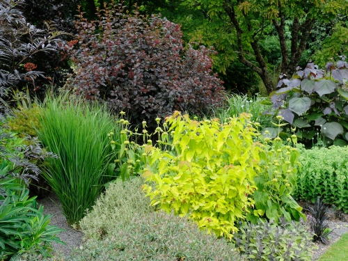 Pflegeleicht, mehrjährig und dauernd blüht etwas im Beet. Wer sich diesen Traum im Garten erfüllen will, setzt auf ein Staudenbeet.